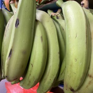 Plátano macho